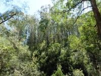 P1000946