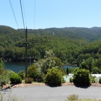 P1000929