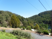 P1000933