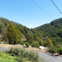 P1000933