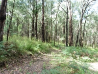P1010149.JPG