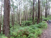 P1010161.JPG