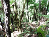 P1010177.JPG