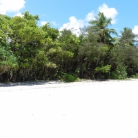 P1030798