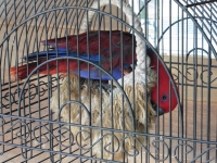 P1030860