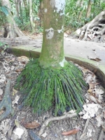P1030883