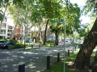 P1030767