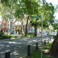P1030767