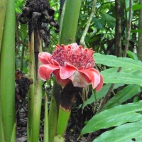 P1030972