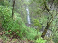 P1020838