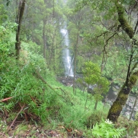 P1020838