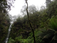P1020861