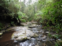 P1020875