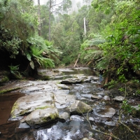 P1020875