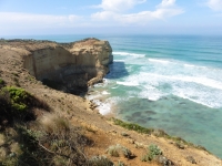 P1020954