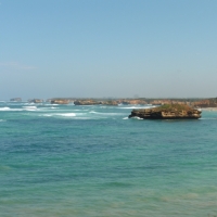 P1030017