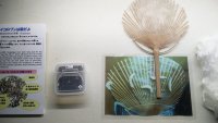 IMG_20191028_092812
