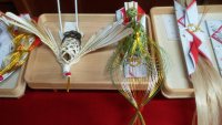 IMG_20191028_093245