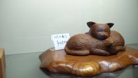 IMG_20191028_095835