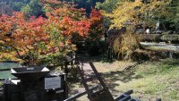 IMG_20191028_100211