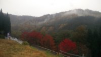 IMG_20191029_092710_01