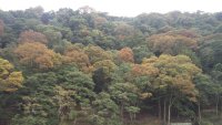 IMG_20191023_155037
