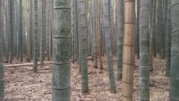 IMG_20191023_161840