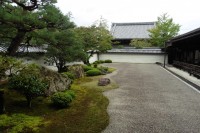P1050691