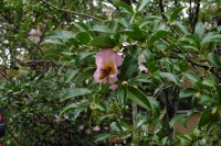 P1050704