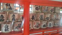 IMG_20191019_111834