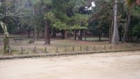 IMG_20191021_154209
