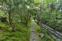 P1050447