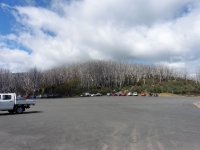 P1010222.JPG