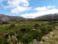 P1010230.JPG