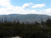 P1010281.JPG