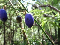 P1020420.JPG
