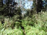 P1020442.JPG