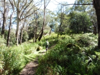 P1020443.JPG