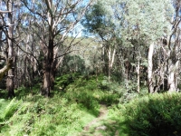 P1020445.JPG