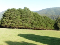 P1020501.JPG
