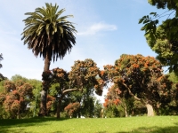 P1000797