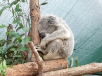 P1030336
