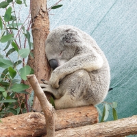 P1030336