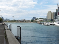 P1030126