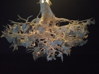 IMG_20151227_145026