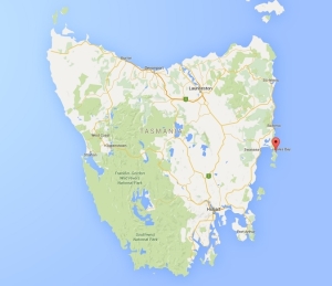 tassie