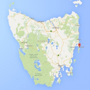 tassie