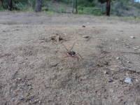 P1020743.JPG