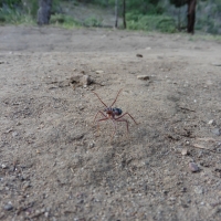 P1020743.JPG