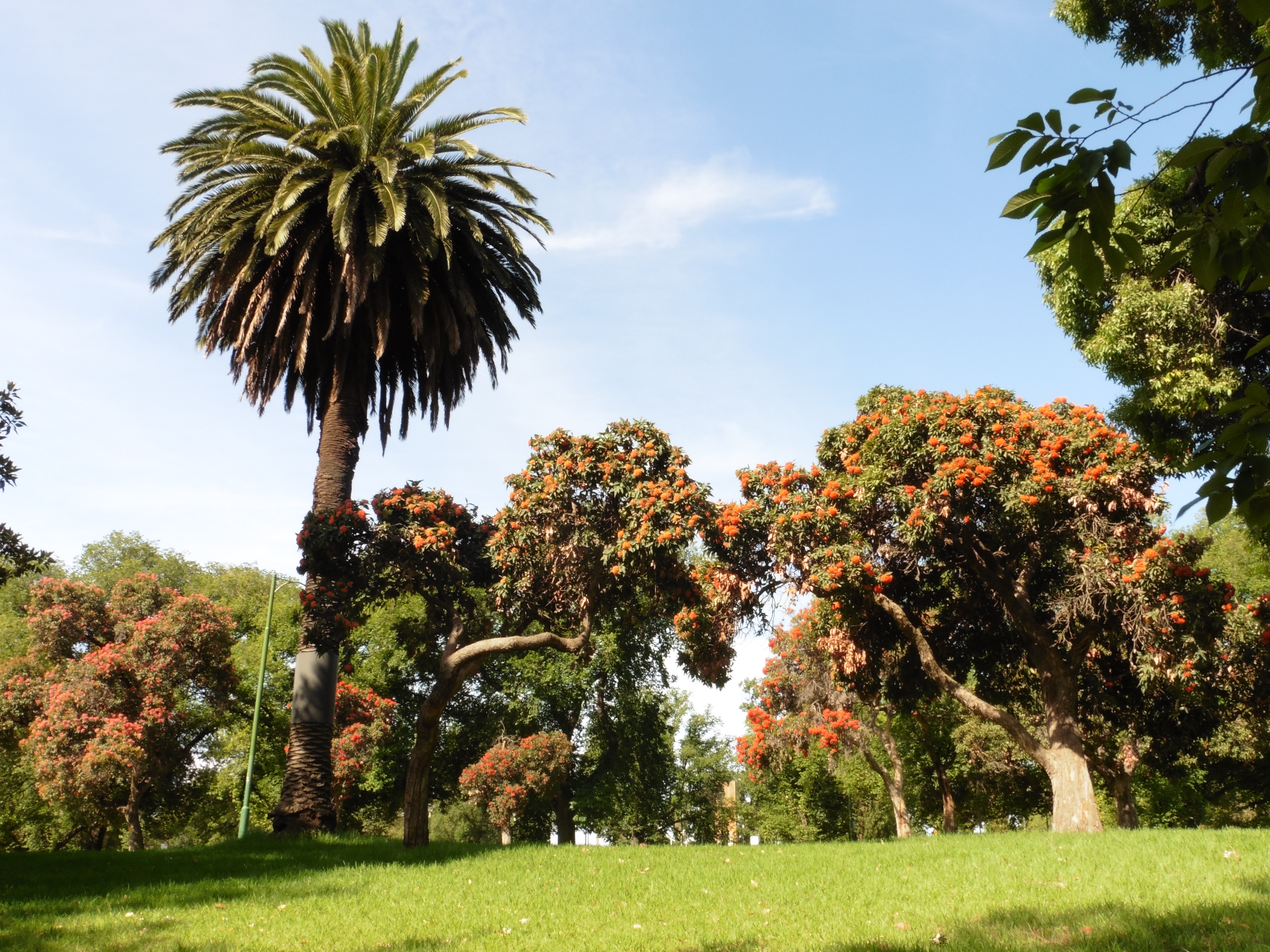 Royal Botanic Gardens